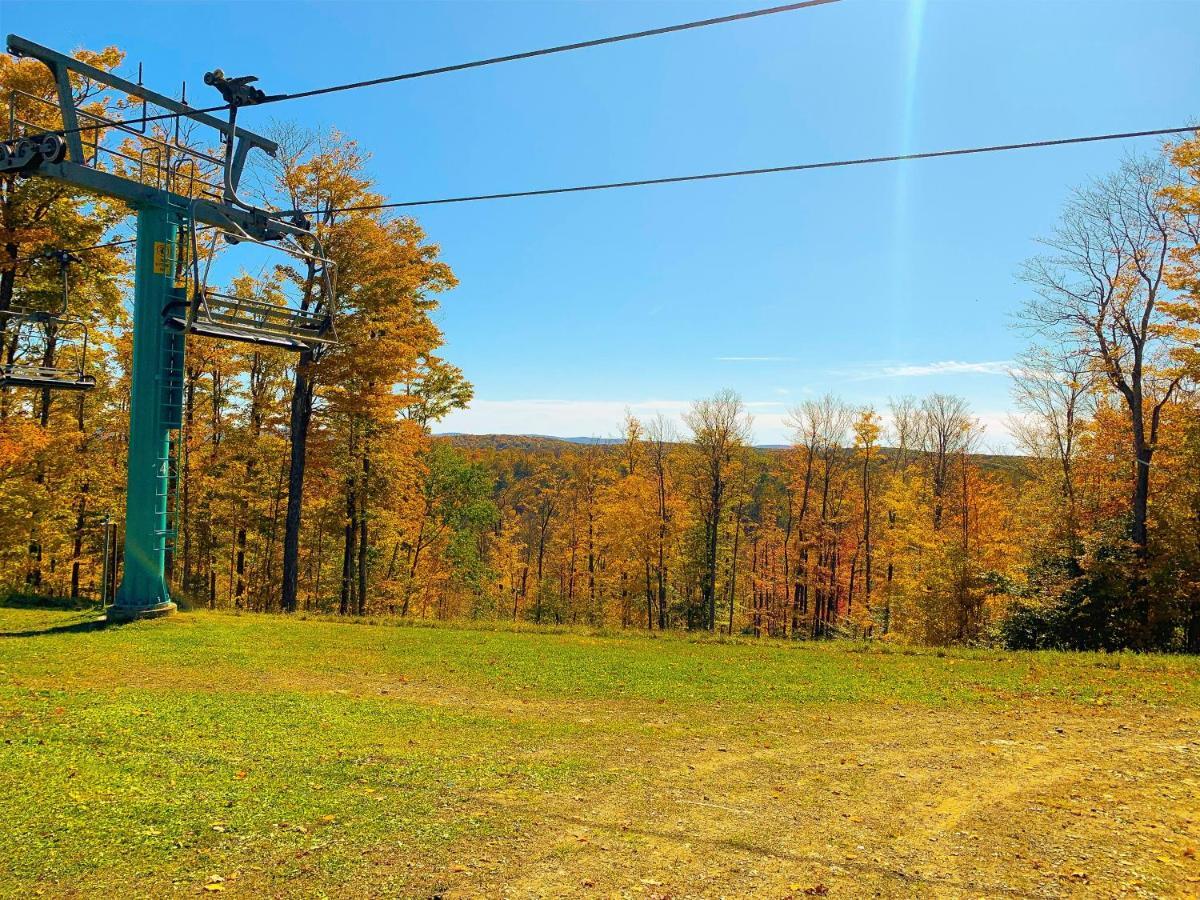 Maples Retreat - 2 Acres - Fireplace Ellicottville Exterior foto